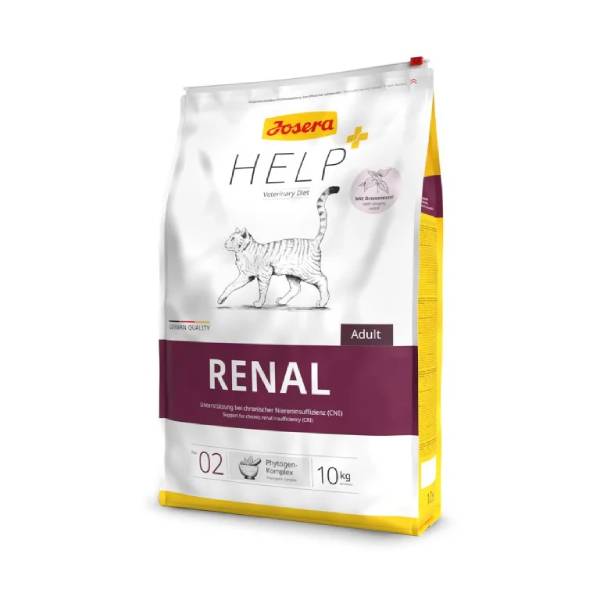renal renal